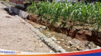 Drainase Proyek Jalan Poros Bone-Sinjai Rusak