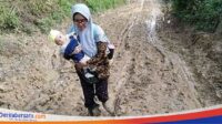 Kisah Guru SMP Pedalaman di Aceh, Gendong Bayi ke Sekolah Lalui Jalan Berlumpur