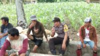 Turun ki Ke Sawah Ini Yang Dilakukan Polisi