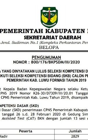 Ini Pengumuman Hasil SKD CPNS Formasi 2019 Pemkab Luwu